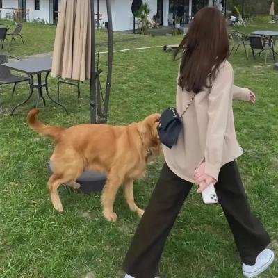 两不疑第二季
