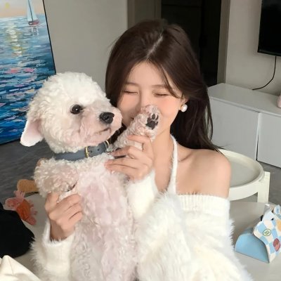 狮子彻夜未眠